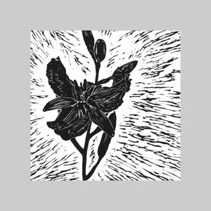 Chocolate Lily, Natif d’Australie, Carte de vœux carrée, Toutes les occasions, Intérieur vierge, Gras, Graphique, Noir et blanc, Flore, Plante, Nature