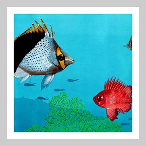 Butterflyfish and Bigeyefish, Original Artwork, Acrylic Painting, Natural History, Limited Edition, Archival Quality, Giclee Art Print