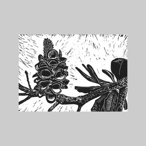 Banksia, natif d’Australie, A6, Format paysage, Carte de vœux, Toutes les occasions, Gras, Graphique, Noir et blanc, Impression linogravure, Nature, Flore