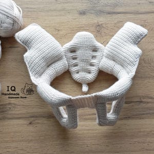 Gehäkeltes Becken Plushie, Weibliches Becken und Kreuzbein Modell, Hebammen-Ausbildungsmaterialien, Gehäkelte Anatomie, Hebammengeschenk für Studenten, Doula Geschenk