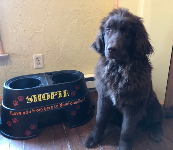 Personalized Dog Bowl Elevated Dog Feeder Dog Bowl Dog Etsy