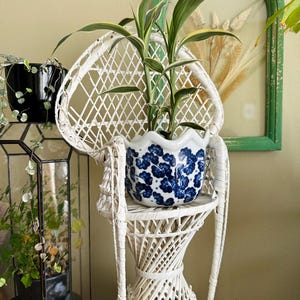 May include: A white wicker peacock chair with a plant in a blue and white ceramic pot. The chair is on a white pedestal.