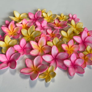 Fondant multi size Plumeria frangipani hawaiian tropical flowers perfect for cakes or cupcakes-VEGAN-Gluten Free-Nut Free-Dairy Free