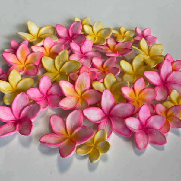 Fondant multi size Plumeria frangipani hawaiian tropical flowers perfect for cakes or cupcakes