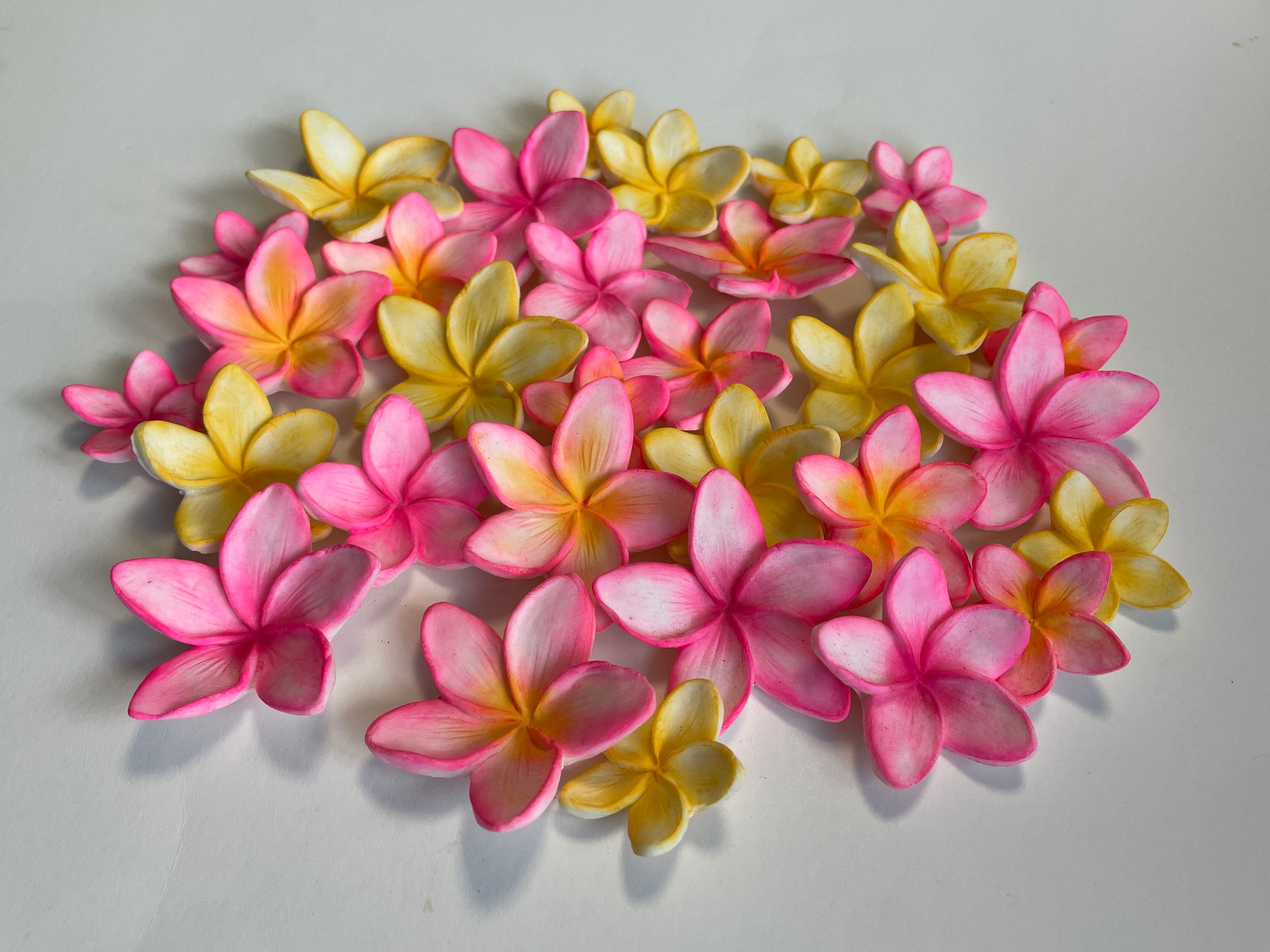 Fondant Multi Size Plumeria Frangipani Hawaiian Tropical Etsy