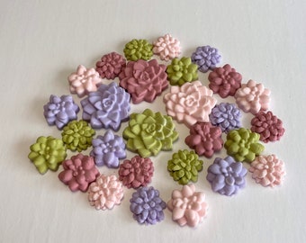 Fondant assorted mini succulents in 3 sizes for cakes, cupcakes and more- Vegan