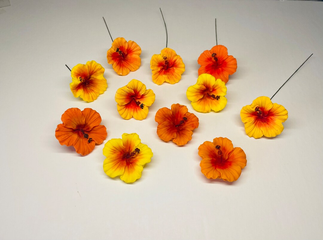 Fondant Edible Hibiscus Flowers Cake Cupcake Decorations VEGAN Etsy