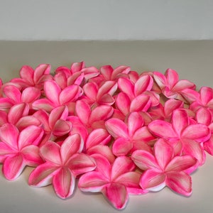 Large 2 Inch fondant plumeria, frangipani Hawaiian flowers dusted in bright pink-Edible and vegan