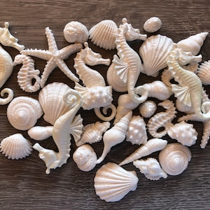 Shimmery small White Edible fondant seashell set with pearl shimmer finish-Vegan