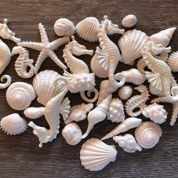 Shimmery White Edible fondant seashell set with pearl shimmer finish-Vegan