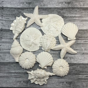 Large Shimmery Fondant Shells for Wedding -Birthday Cakes -Vegan & Nut Free