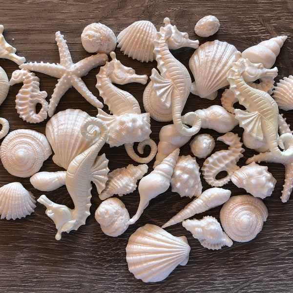 RUSH ONLY: Shimmery White Edible fondant seashell set with pearl shimmer finish-Vegan