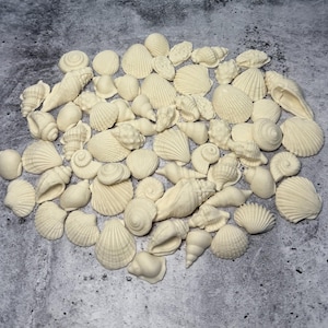 May include: A collection of off-white seashells of various shapes and sizes, including conch shells, scallops, and spiral shells. The shells are arranged on a gray textured surface, creating a beachy, coastal theme.