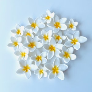 Fondant Plumeria frangipani hawaiian tropical flowers in 3 mixed sizes perfect for cakes or cupcakes