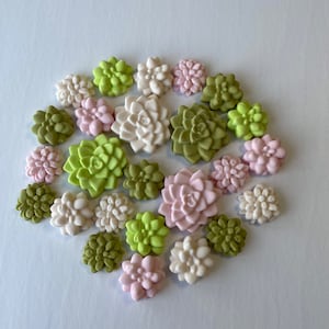 May include: Assortment of small, decorative, faux succulent plants in shades of green, white, and pink. The succulents are arranged in a heart shape on a white background.