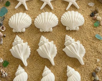 Fondant Large Shells in White matte for Wedding -Birthday Cakes -Vegan, gluten & Nut Free