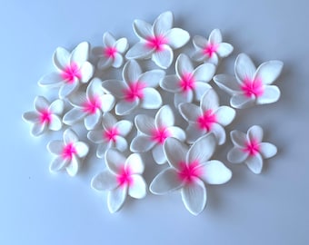 Fondant Plumeria Hawaiian tropical flowers decorations - Vegan
