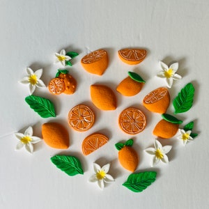 May include: An assortment of orange-colored fruit slices, whole oranges, and lemons, along with white flowers and green leaves, arranged on a white background. The fruit pieces are detailed with white lines, and the leaves have a textured appearance.