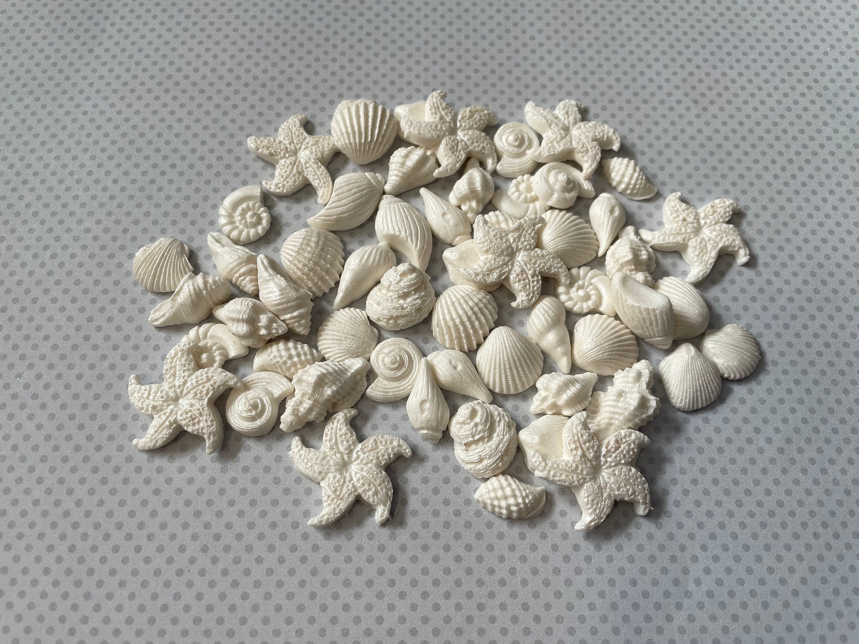 Tiny (1/2 inch) White edible fondant seashells set with shimmery dust - VEGAN