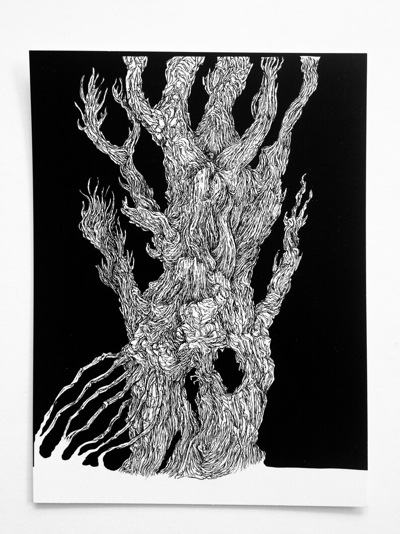 May include: A black and white pen and ink drawing of a gnarled tree with many branches. The tree is drawn in a detailed and intricate style, with many lines and curves.