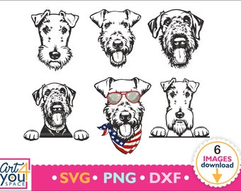 Pet Glasses USA Face dog SVG cricut Clipart Animal PNG American flag svg bundle dxf download peeking bandana Airedale terrier
