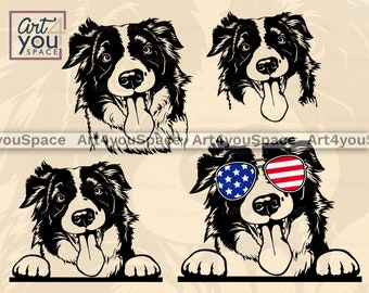 Download Border Collie Svg Etsy