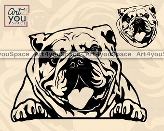 Download Bulldog Face Svg Etsy