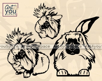 Free Free Lionhead Rabbit Svg 616 SVG PNG EPS DXF File