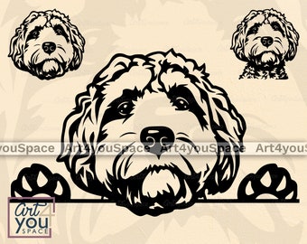 Download Labradoodle Svg Etsy