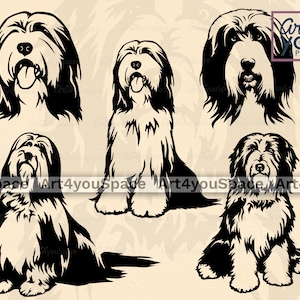 Könnte beinhalten: Ein Satz von vier Schwarzweiß-Silhouetten-Illustrationen von Bearded Collie Hunden in verschiedenen Posen. Die Hunde sind alle nach vorne gerichtet, mit erhobenem Kopf. Die Illustrationen sind einfach und elegant und würden sich perfekt für eine Vielzahl von Projekten eignen, wie z. B. Grußkarten, Website-Designs oder Social-Media-Posts.