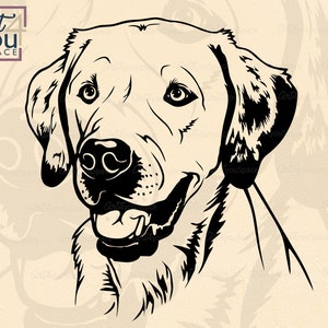 Labrador svg files for Cricut, dog clipart yellow lab breed vector, cute face head dxf Silhouette cameo, printable png download shirt svg
