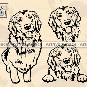 Golden Retriever SVG, Goldie Clipart, dog svg files for Cricut, funny, Printable art Download, vector cut, png dxf engraving, t-shirt design