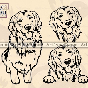 Golden Retriever SVG, Goldie Clipart, hond svg-bestanden voor Cricut, grappige, afdrukbare kunst downloaden, vectorknippen, png dxf-gravure, t-shirtontwerp
