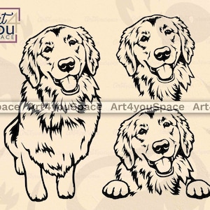 Golden Retriever SVG, Goldie Clipart, dog svg files for Cricut, funny, Printable art Download, vector cut, png dxf engraving, t-shirt design