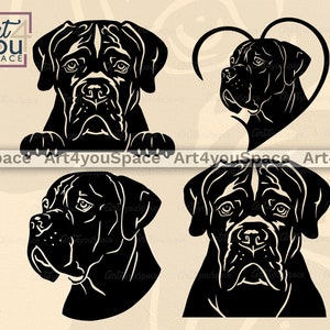 Cane Corso svg, Dog SVG File For Cricut, Peeking Pet Face Clipart, Mastiff Lover Heart Art, Breed Vector, PNG, Download DXF Files for Laser