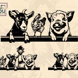 Tiere auf dem Bauernhof Clipart, SVG-Dateien für Cricut, Huhn Ziege Schwein Kunekune Emu Esel spähen, Leben auf dem Bauernhof dxf, Vektor Kunst Download, png Bauernhaus