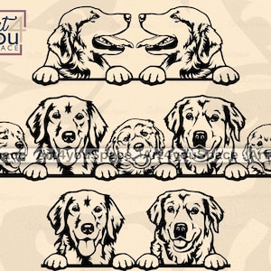 Golden Retriever SVG, Goldie dog Clipart, dog svg File for Cricut, Cute peeking pet Family Printable art Download, Puppy vector, png dxf eps