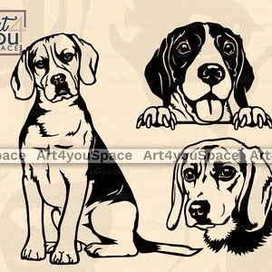 Beagle SVG, hond SVG-bestand voor Cricut, Vector clipart, schattig huisdier gezicht, hoofd, lichaam, DXF, PNG, download, shirt design, afdrukbare kunst, ras