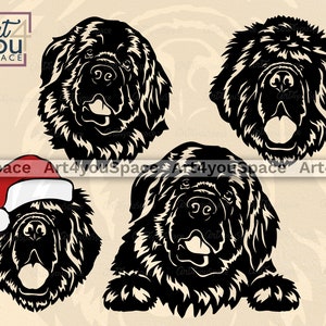 Svg de Terre-Neuve, fichier svg chien pour Cricut, Clipart bandana Newfie, furtivement tête visage, art Mastiff, vecteur de race Télécharger dxf PNG imprimable