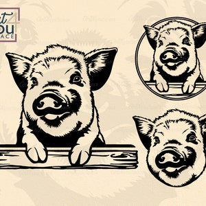 Kune kune pig Svg files for cricut, farm animal clipart, farm life vector, farmhouse art logo design, Funny Face Download Printable Png, Dxf