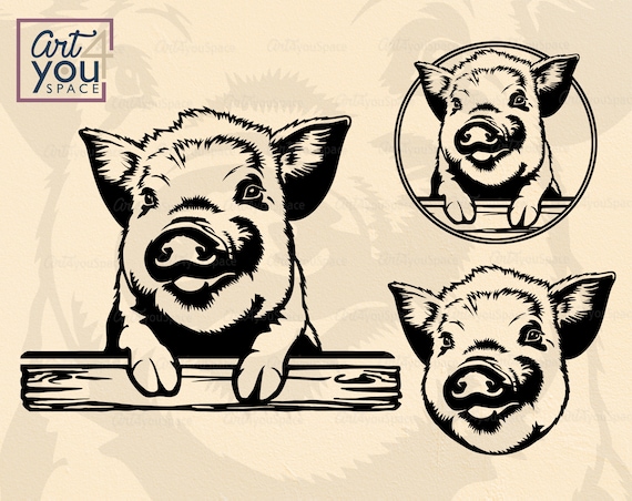Download Kune Kune Pig Svg Files For Cricut Farm Animal Clipart Farm Etsy PSD Mockup Templates