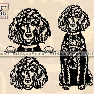 Poodle svg, dog svg file for cricut, black poodle, Peeking Pet Face clipart, dxf Plasma Cnc art, vector Breed PNG Printable Download, shirt