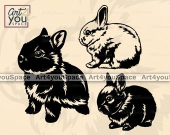 Netherland dwarf rabbit svg files for Cricut, rabbit SVG, bunny clipart, cute pet vector download, printable art, farm animal cut file