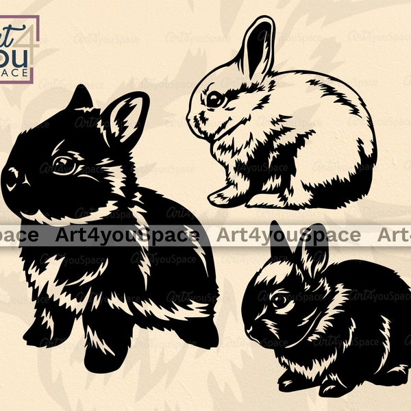 Netherland dwarf rabbit svg files for Cricut, rabbit SVG, bunny clipart, cute pet vector download, printable art, farm animal cut file