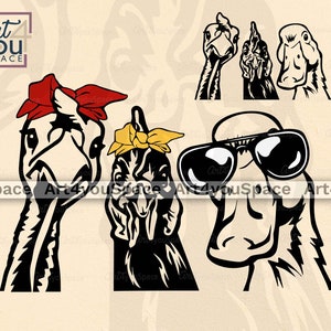 Huhn-Kopf-Svg, Enten-Svg-Dateien Cricut, Truthahn-Farm-Leben-Clipart, lustiges Geflügel, Download, Tiergesicht-Bandana-Sonnenbrille-Vektor, Png, Dxf