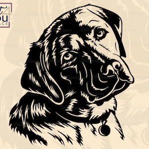 Labrador svg, dog svg cricut, Lab Face clipart, Head, download vector, png, dxf, t shirt stencil, printable, cut file, silhouette