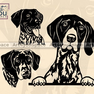 German Shorthaired Pointer svg, dog svg files for Cricut, plasma dxf laser cut vector, hunting breed clipart, Printable art png, download