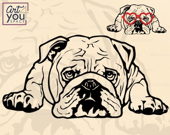 American Bulldog Svg Dog Svg Files for Cricut, Vector Clipart