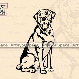 labrador vector