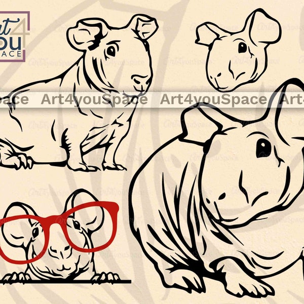 Guinea Pig Svg files for Cricut, Custom clipart, Vector download, Skinny pig png printable outline Art, Funny animal veterinary logo design